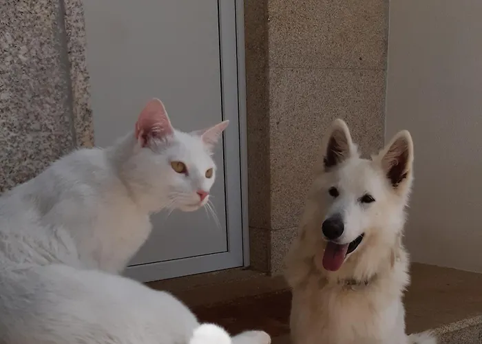 Casa Lagoas * Bragança